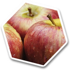 Apples