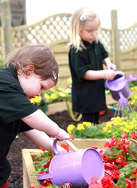 Nurseries Busy Saving the Bees