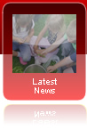 Latest nursery news
