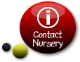 Contact Nursery Directly