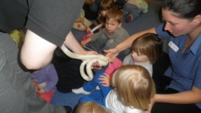 Zoolab visited the Nursery with a great selection of creepy crawlies!!