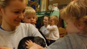 All the staff and children enjoyed a fun filled week raising money for the RSPCA, throughtout the week the rooms were participating in a variety of animal related activities.