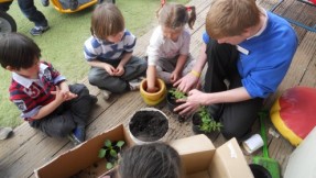 The children have been looking at different Spring and Summer flowers, Planting vegetables and getiing the flower beds ready for Summer. 