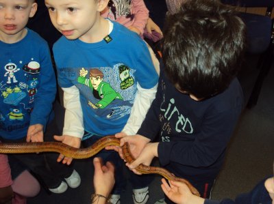 Party with the animals with Zoo lab!