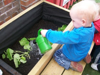 Planting and Seed Growing