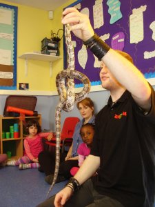 Wriggly Roadshow