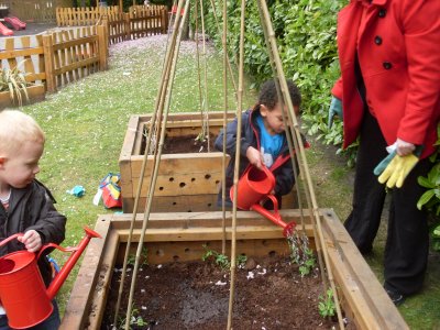 Busy Bees Sweeten up Flower Show