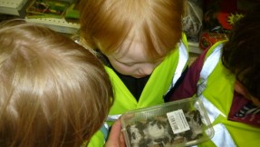 Pre School take a walk to our local Pet Shop to watch the tropical fish and see the furry Hampsters