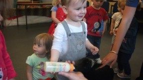 We had a visit from 2 little lambs today!