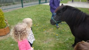 Charlotte the pony came to nursery.