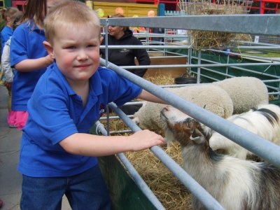 Farm animals visit the nursery