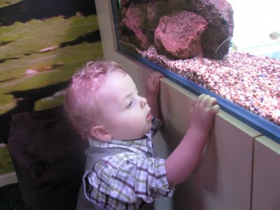 Brand New Rainforest Room - a first for Busy Bees!
