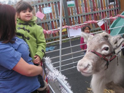 Special Visitors