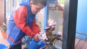 How would you like to take part in 'Grow your Own at Home'