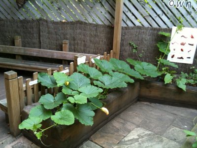 Grow Your Own!