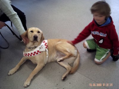 Guide Dog Visit