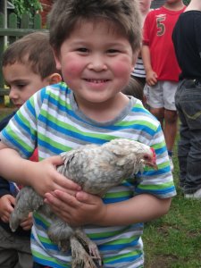 Animal Farm comes to Busy Bees