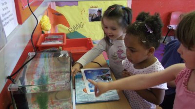 Fishy Goings On! 