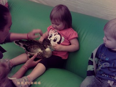 Wellybobs Farm Visit