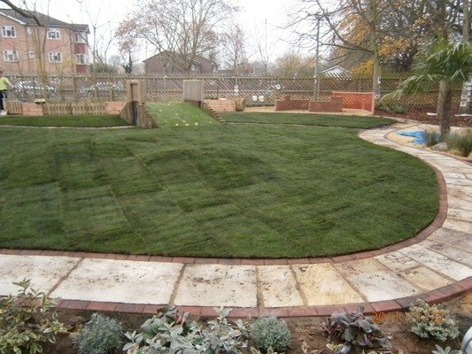 Our Brand New Garden Photo-4
