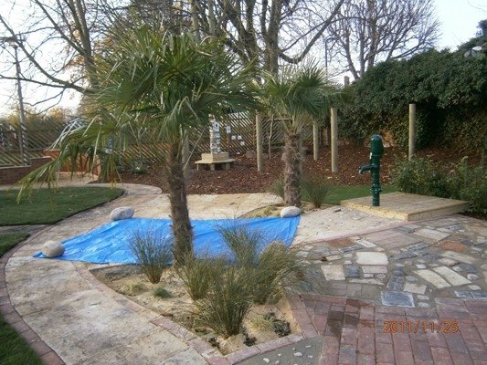 Our Brand New Garden Photo-5