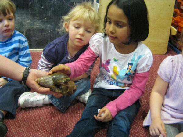 Zoo Lab Photo-2