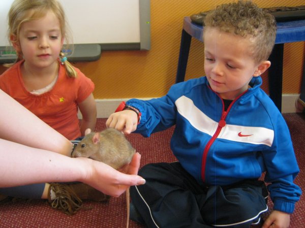 Zoo Lab Photo-5