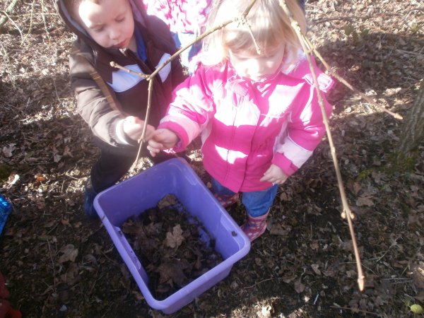 National Nest Box Day Photo-1