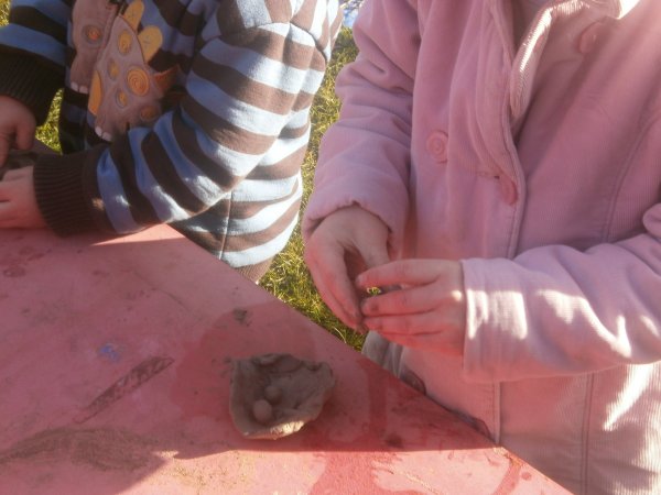 National Nest Box Day Photo-3