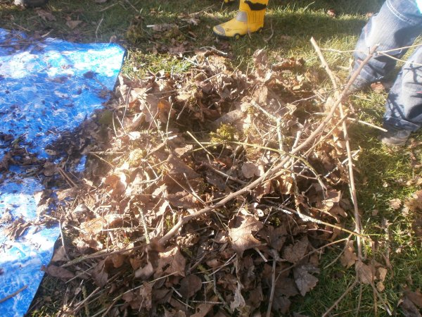 National Nest Box Day Photo-4