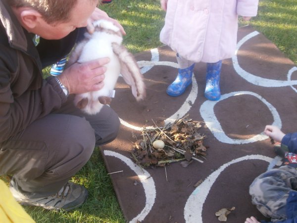 National Nest Box Day Photo-5