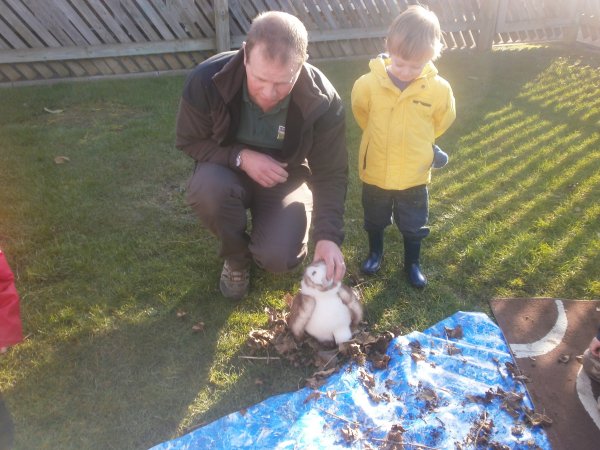 National Nest Box Day Photo-6