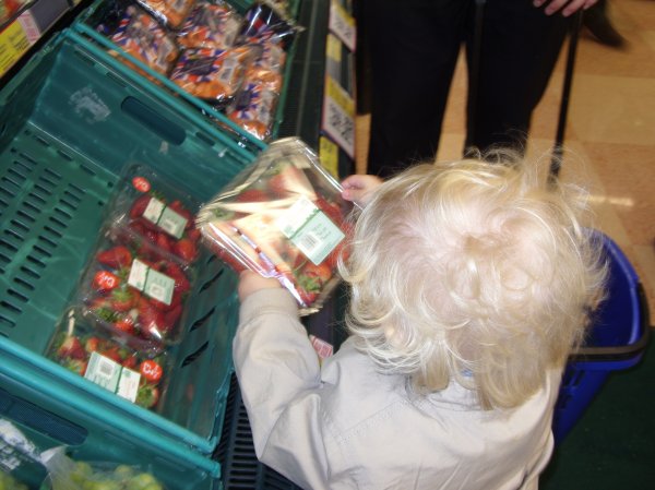 Enchanted Forest shopping trip Photo-4