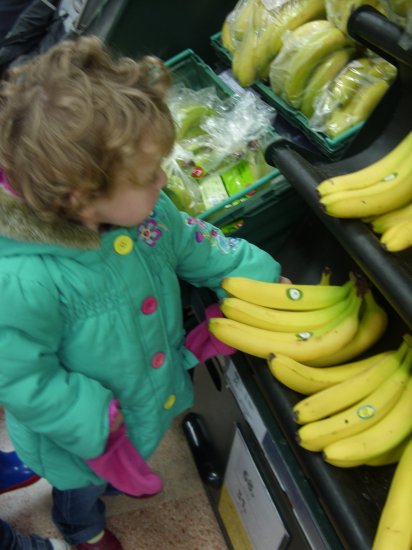 Enchanted Forest shopping trip Photo-5