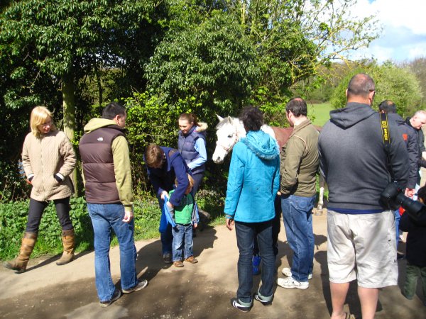 Golden mile walk Photo-5