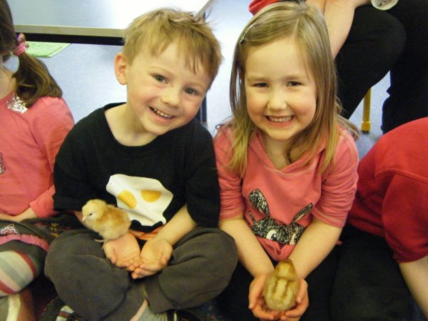 Our Chick Experience Photo-1