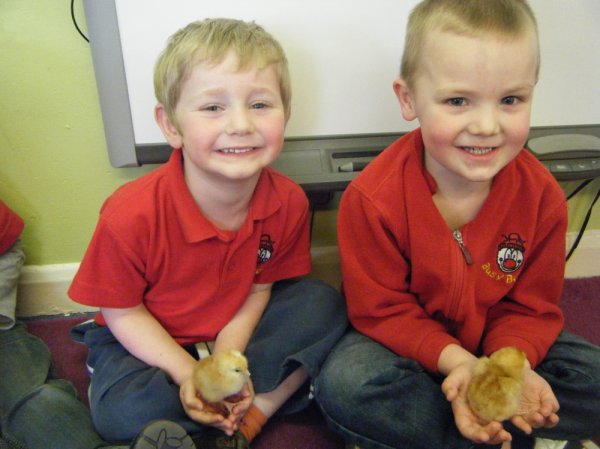 Our Chick Experience Photo-3