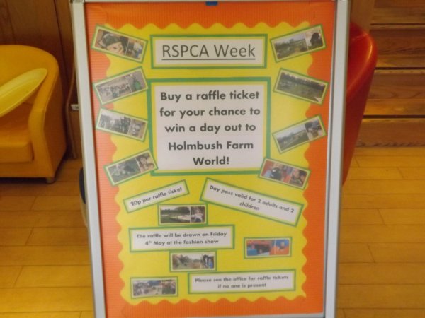 RSPCA WEEK Photo-1
