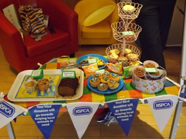 RSPCA WEEK Photo-2