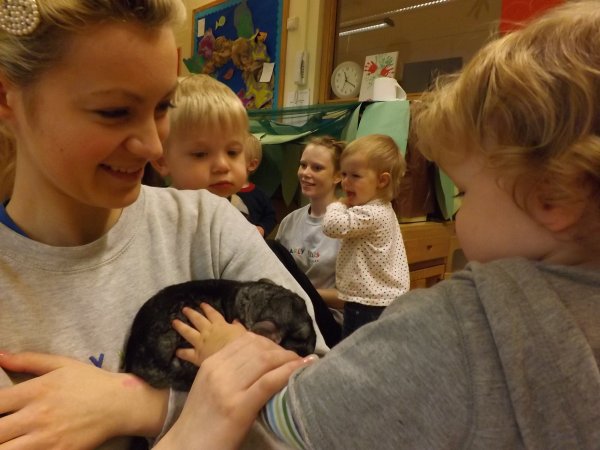 RSPCA WEEK Photo-4