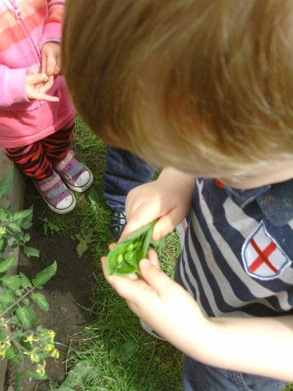 Look at all our plants and vegtables Photo-2