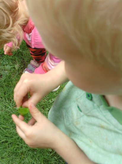 Look at all our plants and vegtables Photo-4