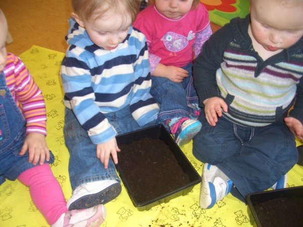 Grow your own Photo-6