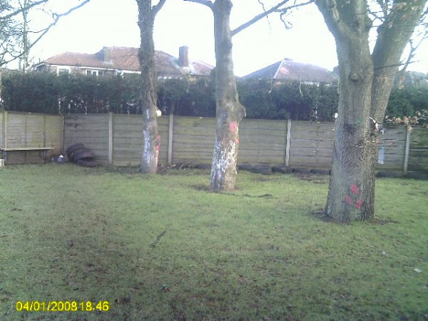 Nursery Development Photo-3