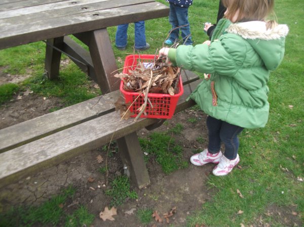 World Forestry Day Photo-1