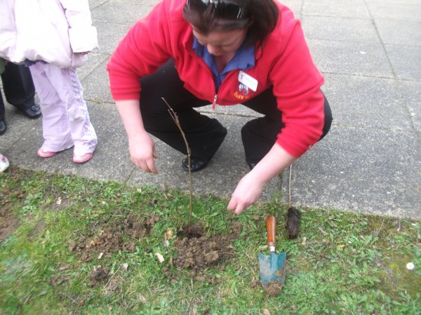 World Forestry Day Photo-2