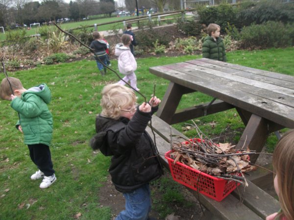 World Forestry Day Photo-3