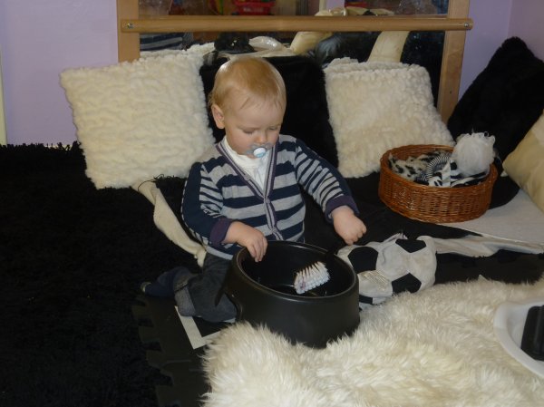 Busy Babies launched Photo-2
