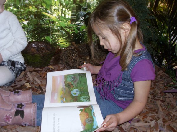 Pre-School Woodland Area Photo-2