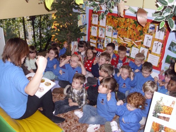 Pre-School Woodland Area Photo-3